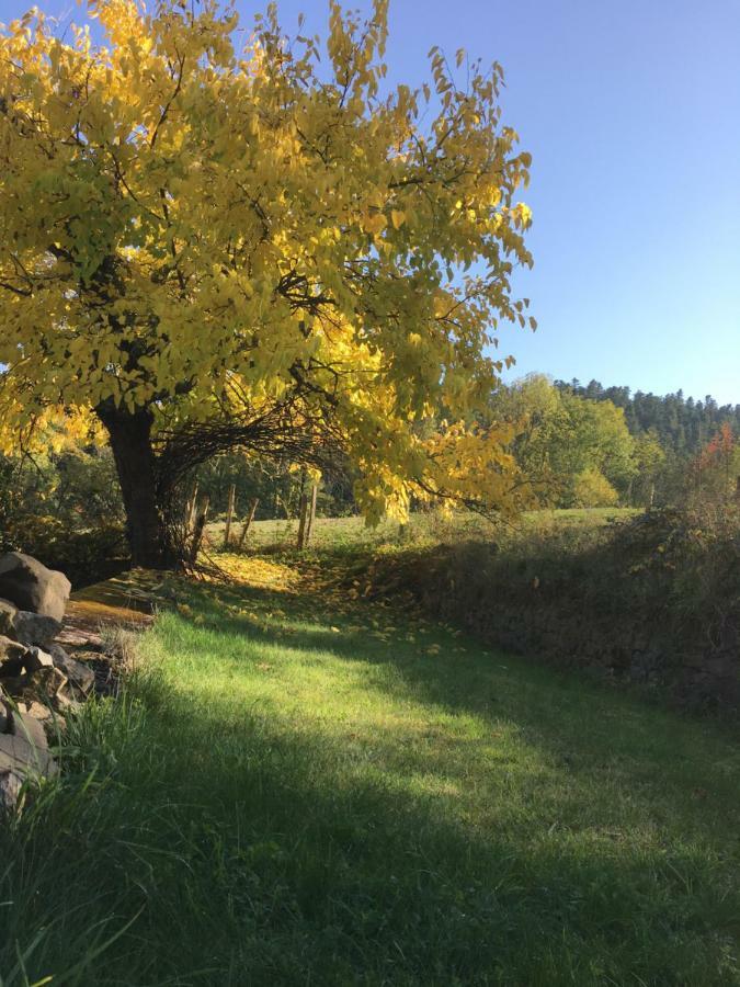 Le Chatel En Beaujolais Valsonne Bagian luar foto