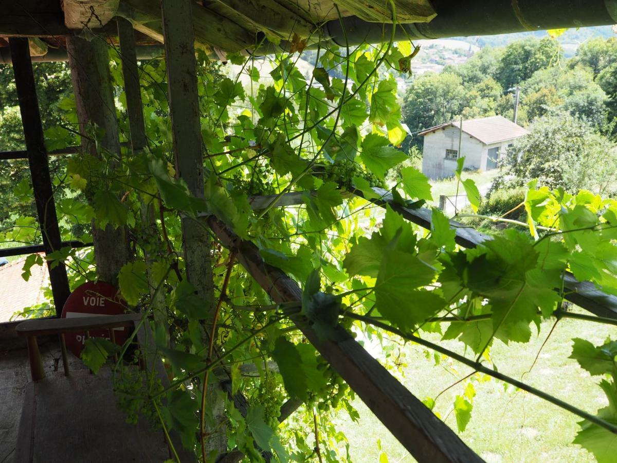 Le Chatel En Beaujolais Valsonne Bagian luar foto